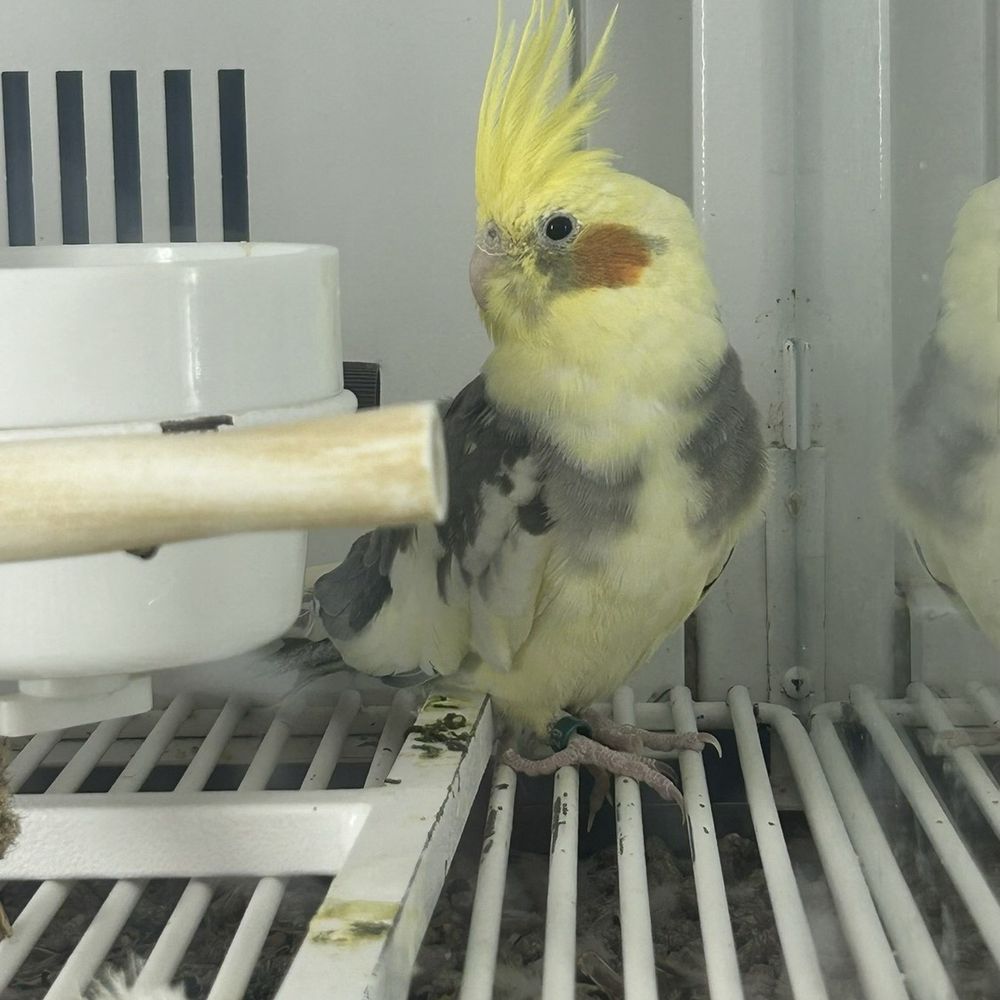 Petco - Pet Stores Near Me - Burbank, California Petco - Pet Stores Near Me - Burbank, California