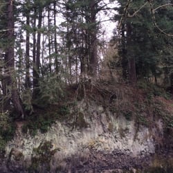 Swiftshore Park