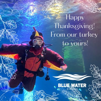 Blue Water Divers by null