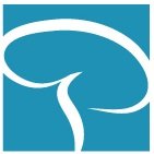 Neuropsych Assessments of Greater Boston - child therapist in West Roxbury, MA