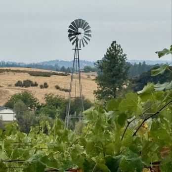 Element 79 Vineyards - Wineries Near Me - Somerset, California