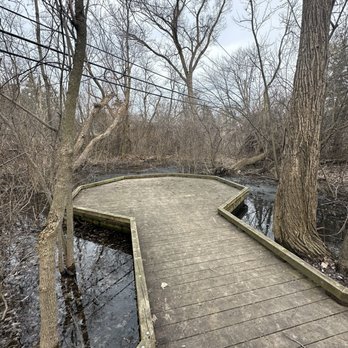 Dicken Woods Nature Area - Small pond lookout - Hiking Near Me Dicken Woods Nature Area - Small pond lookout - Hiking Near Me