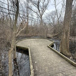 Small pond lookout