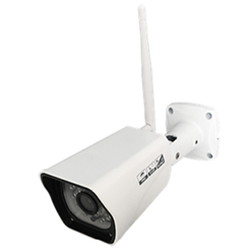 Rigali Security Alarms - Surveillance cameras scare away burglars