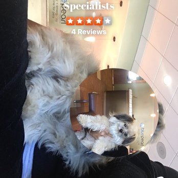 BluePearl - Brandon - Eye specialist vet clinic that is worth the price. - Veterinarians Near Me - Brandon, Florida BluePearl - Brandon - Eye specialist vet clinic that is worth the price. - Veterinarians Near Me - Brandon, Florida