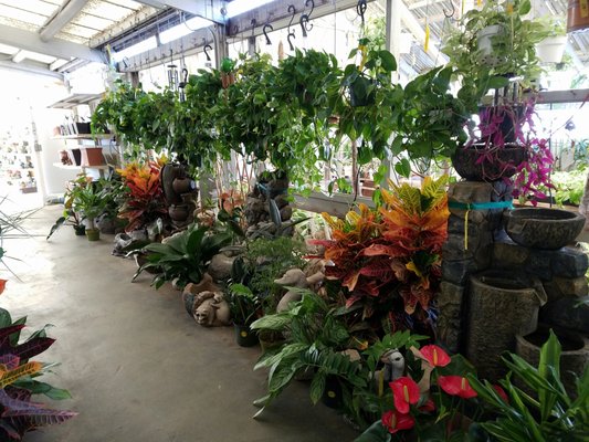 Moneta Nursery 104 Photos 35 Reviews Nurseries Gardening Moneta Nursery 104 Photos 35