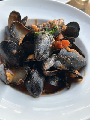 Seasons in the Park by null