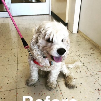 Petco - Pet Training Near Me - Orlando, Florida Petco - Pet Training Near Me - Orlando, Florida