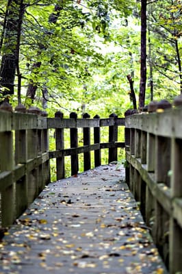 Rock Bridge Memorial State Park by null