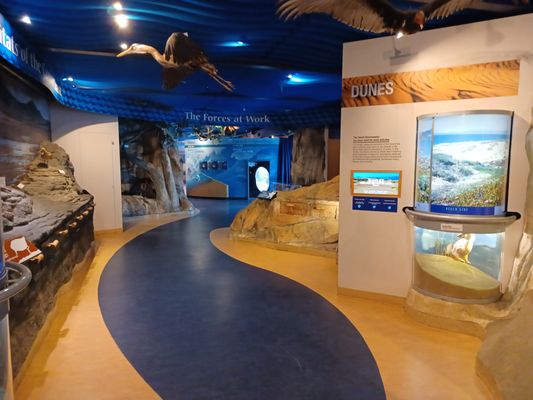 Museum of Natural History by null