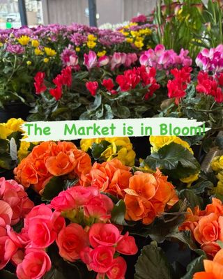 Farmers market in Kirkwood by null