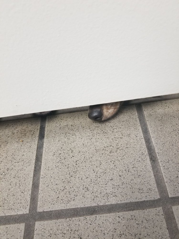 Hometown Pet Care Center Image