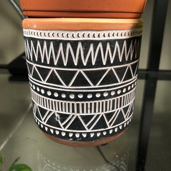 Cross Creek - Pot I got from the store - Nurseries & Gardening Near Me - Richmond, Virginia Cross Creek - Pot I got from the store - Nurseries & Gardening Near Me - Richmond, Virginia