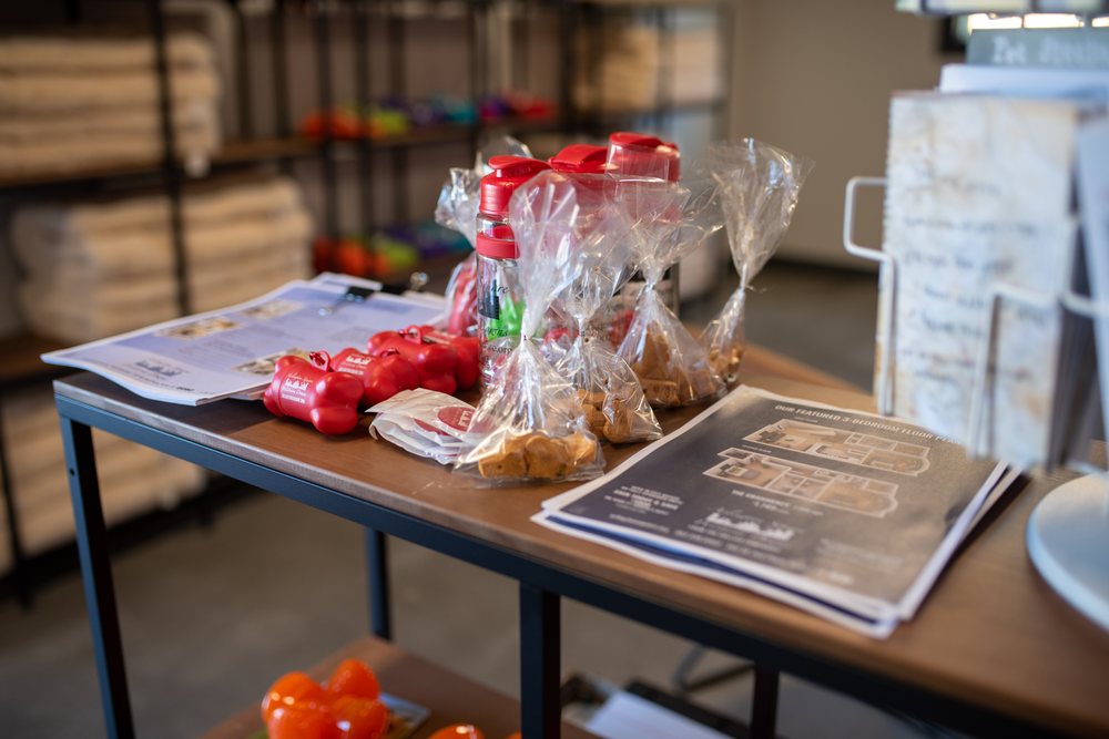 CAMP RUN A MUTT GAINESVILLE 【121 Photos & 13 Reviews】 1107 S Main St