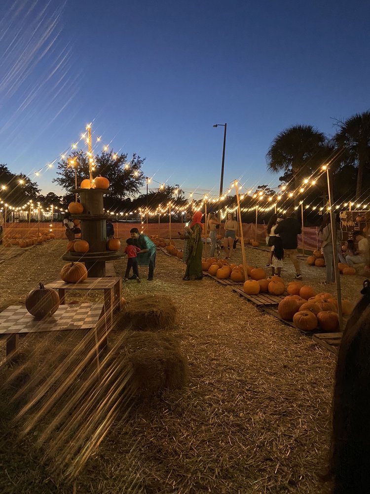 HAGERTY FARMS PUMPKIN PATCH Updated September 2024 12 Photos 3225
