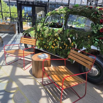Treehouse Hotel Silicon Valley - Hotels Near Me - Sunnyvale, California Treehouse Hotel Silicon Valley - Hotels Near Me - Sunnyvale, California
