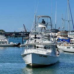 Last Mango Charter Fishing - Last Mango Sport Fishing Charter Boat .
