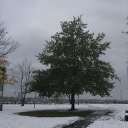 Park im. Stefana Żeromskiego - w parku