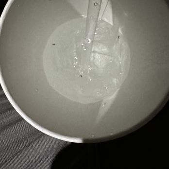 KFC - Ants in the drink - Fast Food Near Me - Lynchburg, Virginia KFC - Ants in the drink - Fast Food Near Me - Lynchburg, Virginia