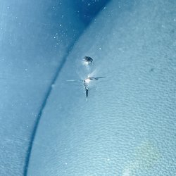 Swift Auto Glass - This is the original crack (from a rock)