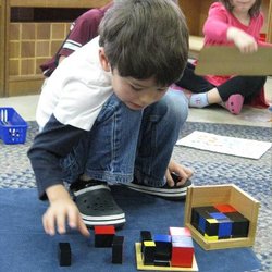 Capital Montessori School - Untitled