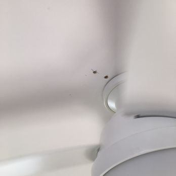 R Core - Electricians Near Me