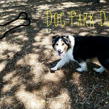 Hound Mound Dog Park - Fun day at the dog park. - Dog Parks Near Me - Flower Mound, Texas
