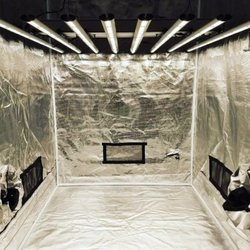 Fluence SpydrXplus LED light in 4x4 tent