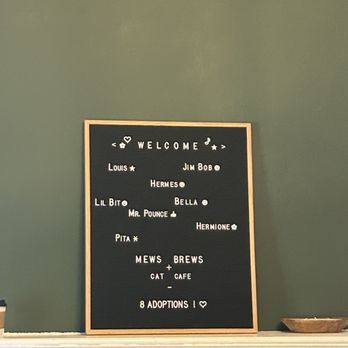 Mews and Brews - Cat names - Themed Cafes Near Me - Summerville, South Carolina Mews and Brews - Cat names - Themed Cafes Near Me - Summerville, South Carolina