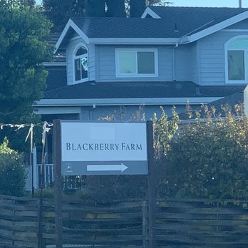 Blackberry Farm - Swimming Pools Near Me - Cupertino, California Blackberry Farm - Swimming Pools Near Me - Cupertino, California