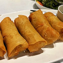 Parilya