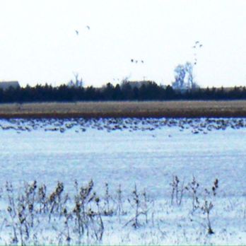 Harvard Waterfowl Production Area - Parks Near Me - Funk, Nebraska