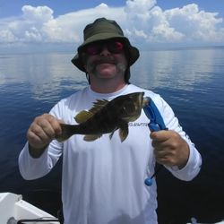 Outpost Alpha Fishing and Trading Company