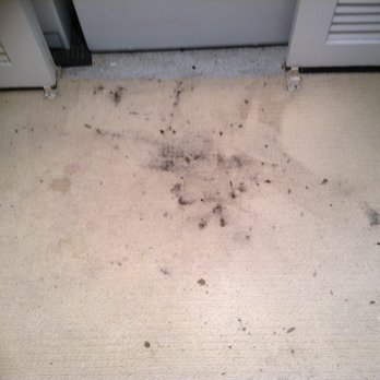 Premier Appliance Service Reviews All information about