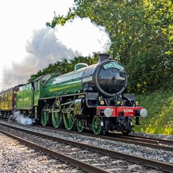 The Steam Dreams Rail Co.