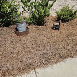 JB's Pine Needles