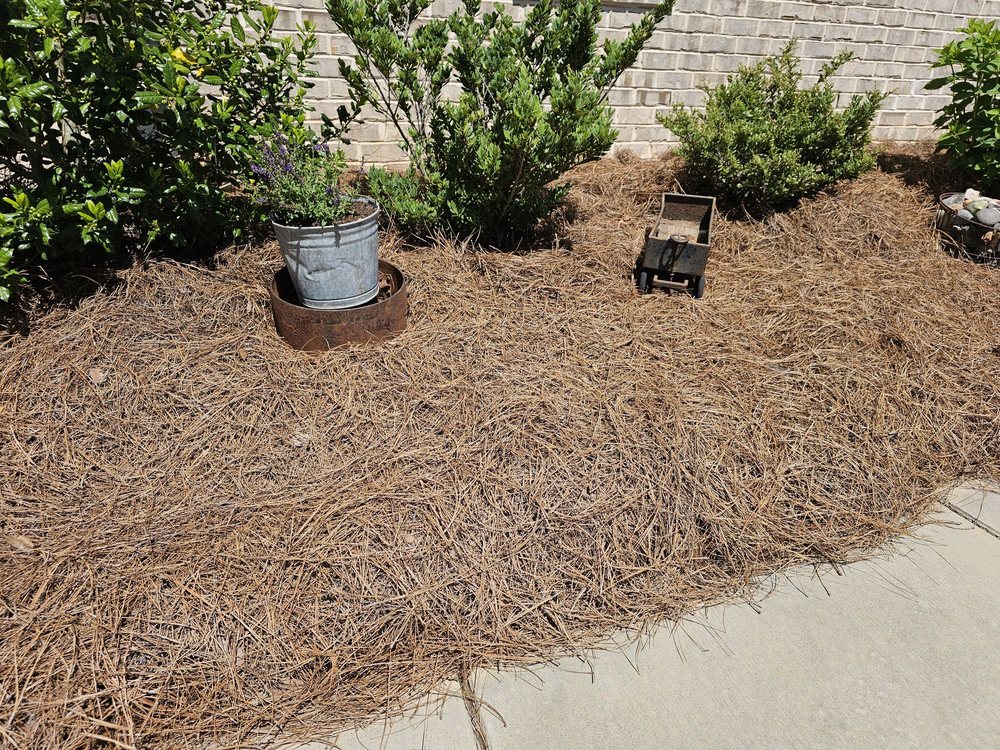 JB's Pine Needles - tree service in Lewisville, NC
