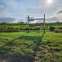 Photo of Wilson's Orchard And Farm - Des Moines
