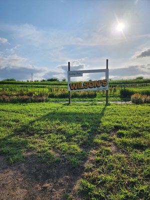 Wilson's Orchard & Farm (Des Moines) by null