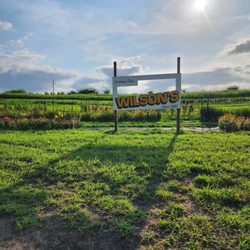 Wilson's Orchard And Farm - Des Moines