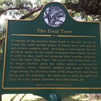 Goat Trees - Botanical Gardens Near Me - Dauphin Island, Alabama Goat Trees - Botanical Gardens Near Me - Dauphin Island, Alabama