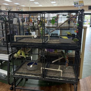Pet Supermarket - Pet Stores Near Me - Boynton Beach, Florida Pet Supermarket - Pet Stores Near Me - Boynton Beach, Florida