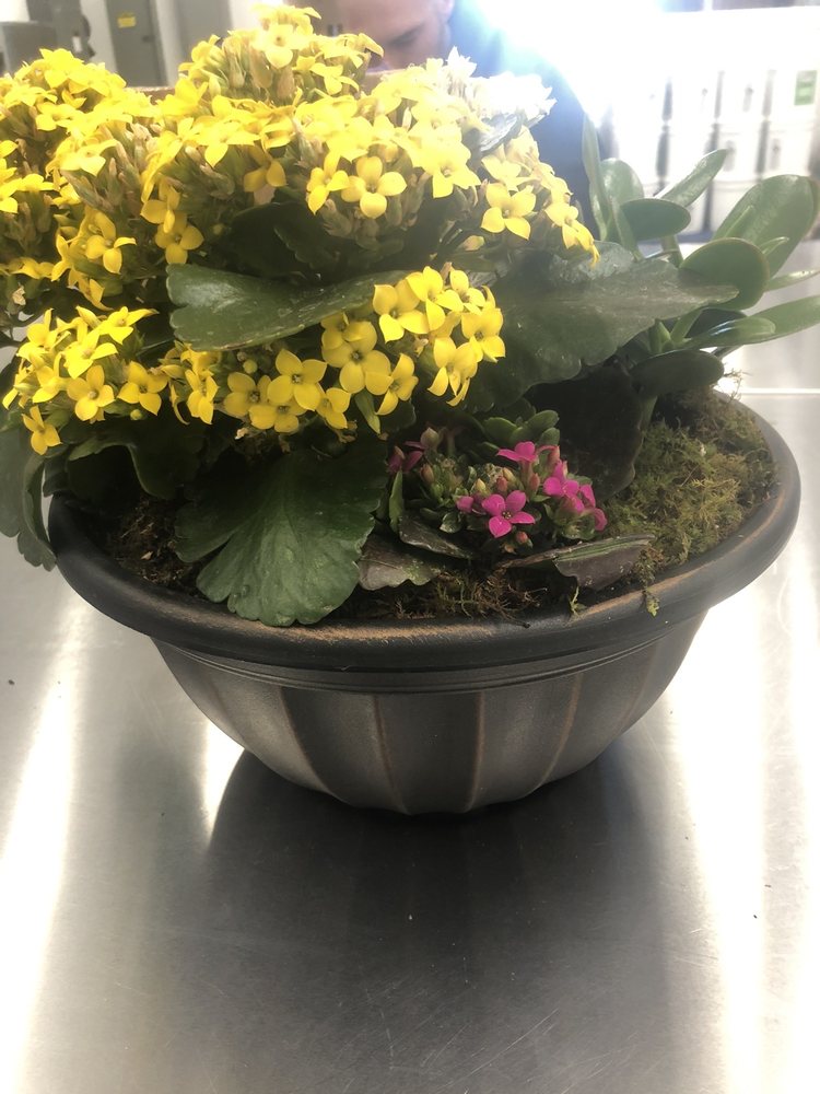 RICHARD’S FLORIST Updated September 2024 149 Main St, Farmington