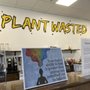 Photo of Plant Wasted