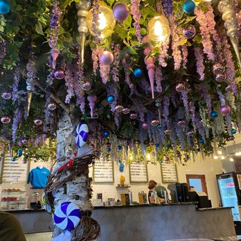 Sugar Tree Cafe - Cafes Near Me - Nutley, New Jersey Sugar Tree Cafe - Cafes Near Me - Nutley, New Jersey