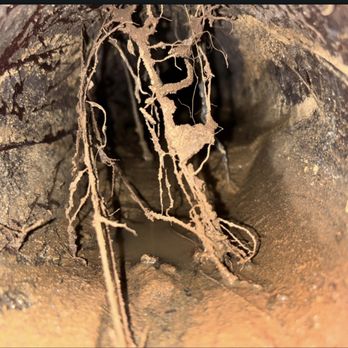 SplashFix Plumbing - roots and debris inside the drain - Plumbing Near Me - South San Francisco, California SplashFix Plumbing - roots and debris inside the drain - Plumbing Near Me - South San Francisco, California