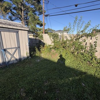 Jake's Tree Service - Tree stump before - Tree Services Near Me - Glen Mills, Pennsylvania