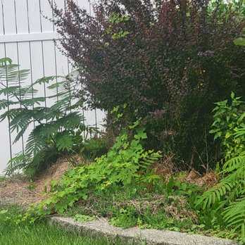 Axis Landscaping - Landscaping Near Me - Bridgeton , New Jersey