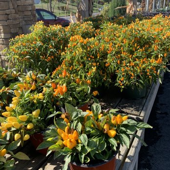 Dragonfly Farms - Nurseries & Gardening Near Me - Hamilton, New Jersey