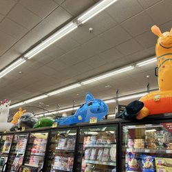 Ralphs - Pool floaties!!